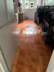 Blk 551 Bedok North Avenue 1 (Bedok), HDB 3 Rooms #587598601